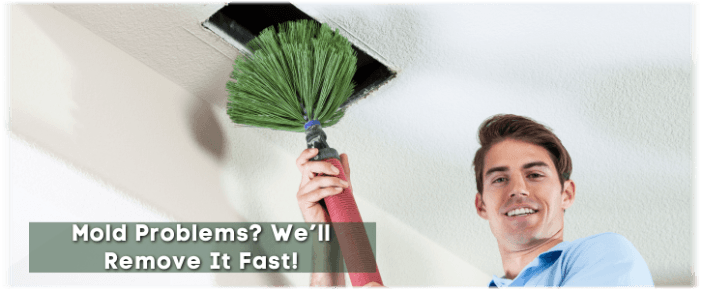 Air Duct Mold Removal in Phoenix