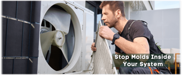 HVAC Mold Removal Phoenix